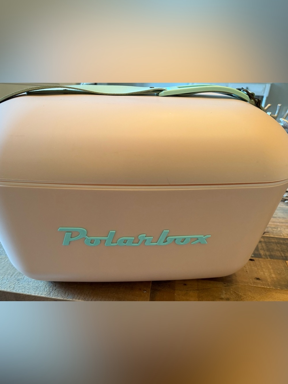 Polarbox Pink Portable Cooler Bag - Pastel Pink with Mint Logo